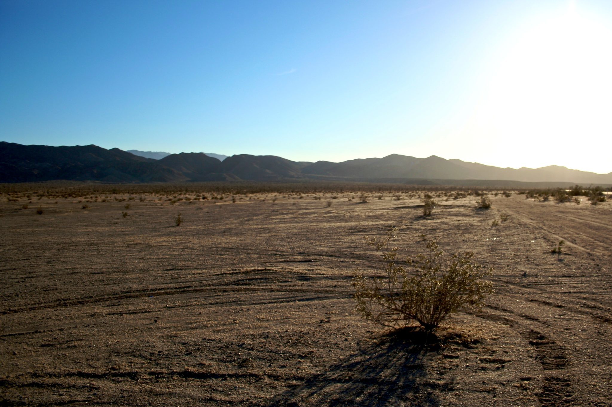 <p>O deserto Mexicali (imagem: <a href="https://www.flickr.com/photos/dcipjr/2543938960/in/photolist-4SNmqy-pPJ2YU-e7bKbn-e7hoSu-ffoV2v-8QyFie-7BS9y3-4SHMf8-x9JEAa">Dan Cipolla</a>)</p>