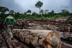 <p>Brazil’s environmental protection agency Ibama raids an illegal logging facility in Roraima. Image: <a href="https://www.flickr.com/photos/ibamagov/40652073400/in/album-72157695733832981/">Felipe Werneck/Ibama</a></p>
