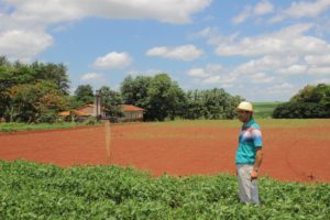 <p>Juan Carlos Britez looks at the soy crops near the San Roque González school in the Alto Parana department, Paraguay (image: Mathias Melgarejo Salum)</p>