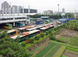 <p>A medida que China se urbaniza, los métodos de producción y consumo de alimentos están cambiando (imagen: <a href="https://www.flickr.com/photos/paytonc/5405462071/in/photolist-buLWFp-9eEpxV-qMMXv2-qMMJX6-7jG5iC-qveFi7-7fKHZn">Payton Chung</a>)</p>