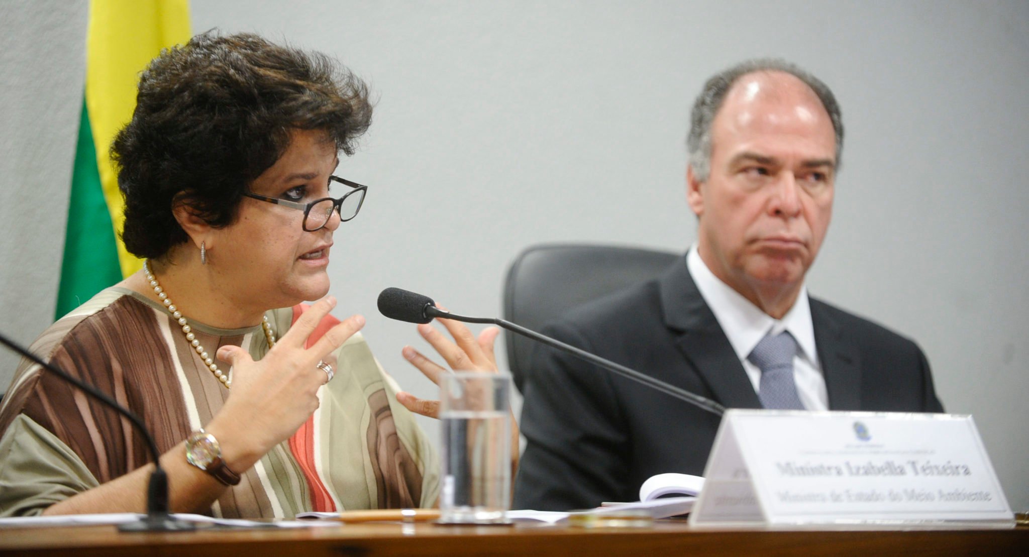 <p>Izabella Teixeira, Brazil&#8217;s former Environment Minister (image: <a href="https://commons.wikimedia.org/wiki/File:CMMC_-_Comiss%C3%A3o_Mista_Permanente_sobre_Mudan%C3%A7as_Clim%C3%A1ticas_(21678326230).jpg">CMCC</a>)</p>