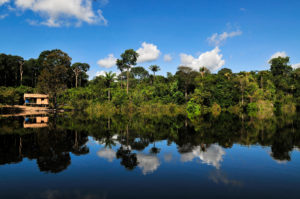 <p>Quatro novos ministros do Meio Ambiente foram nomeados nos países da região amazônica (imagen: <a href="https://www.flickr.com/photos/cifor/35073229434/in/photolist-Vritbj-F9XAG3-23f1Lrd-8UFeTt-MmCBzd-NZSrYS-K3iPyf-21Vs5ia-22GrFwP-btmcvC-Vris9E-2LwRyx-QbF6s9-28S7B6E-2cvRHkT-XVAz4W-XJKBgL-DgezSV-XJKDUb-XJKfUU-DeQ1ue-2ceXf1h-XJMDWm-23DQNVv-pw2e5s-2avsLFT-fQhiAL-NMU3iy-fD4f5x-iYf6f-7einKg-btjtc7-2Lpbau-yg4Zmr-xYrPaC-PuduTZ-6PsPhq-2ceUsyQ-29yHB9j-P9Fa9V-P6t511-EyCKZz-EyCLkK-2aqxVRs-29GaBqi-PgaMSf-NwBSrw-P6t4HN-Nnp6qC-LJY52t%3C/a">CIFOR</a>)</p>