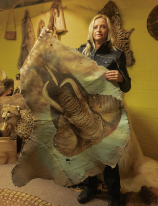 A customs official holds up an elephant skin, transported across borders by wildlife traffickers