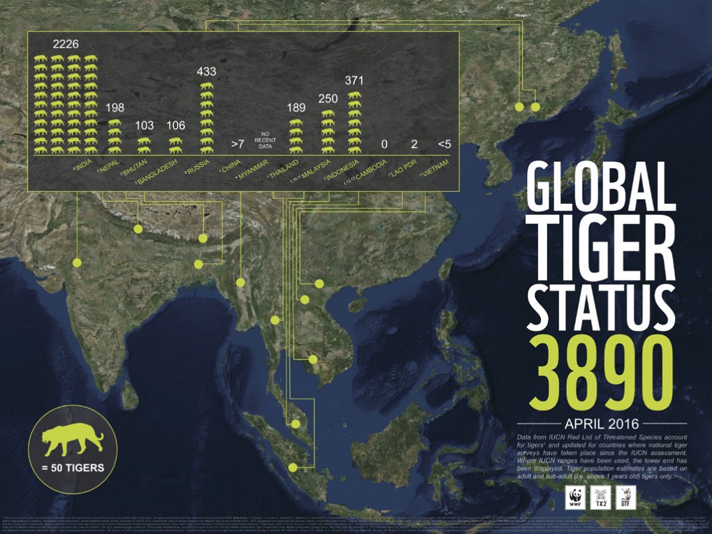 Global tiger status, 3890