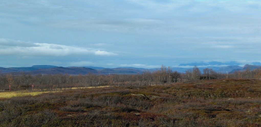 <p>Sampling site from the peat samples were taken from the permafrost near in Kilpisjärvi, Finnish Lapland [image by: Carolina Voigt / University of Eastern Finland]</p>