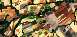 <p>Satellite images of soy cultivation in Brazil&#8217;s Mato Grosso state (image:<a href="https://www.flickr.com/photos/sentinelhub/46200453244">Sentinel Hub</a>)</p>