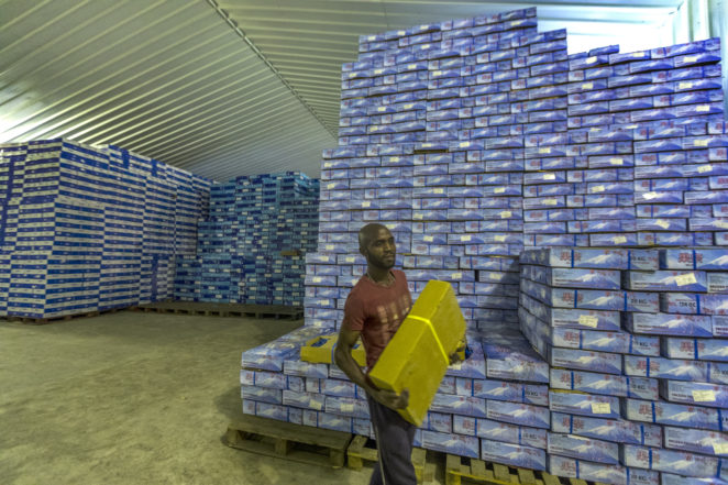 Cartons of imported frozen fish at large cold room at the Ijora frozen food market in Lagos.