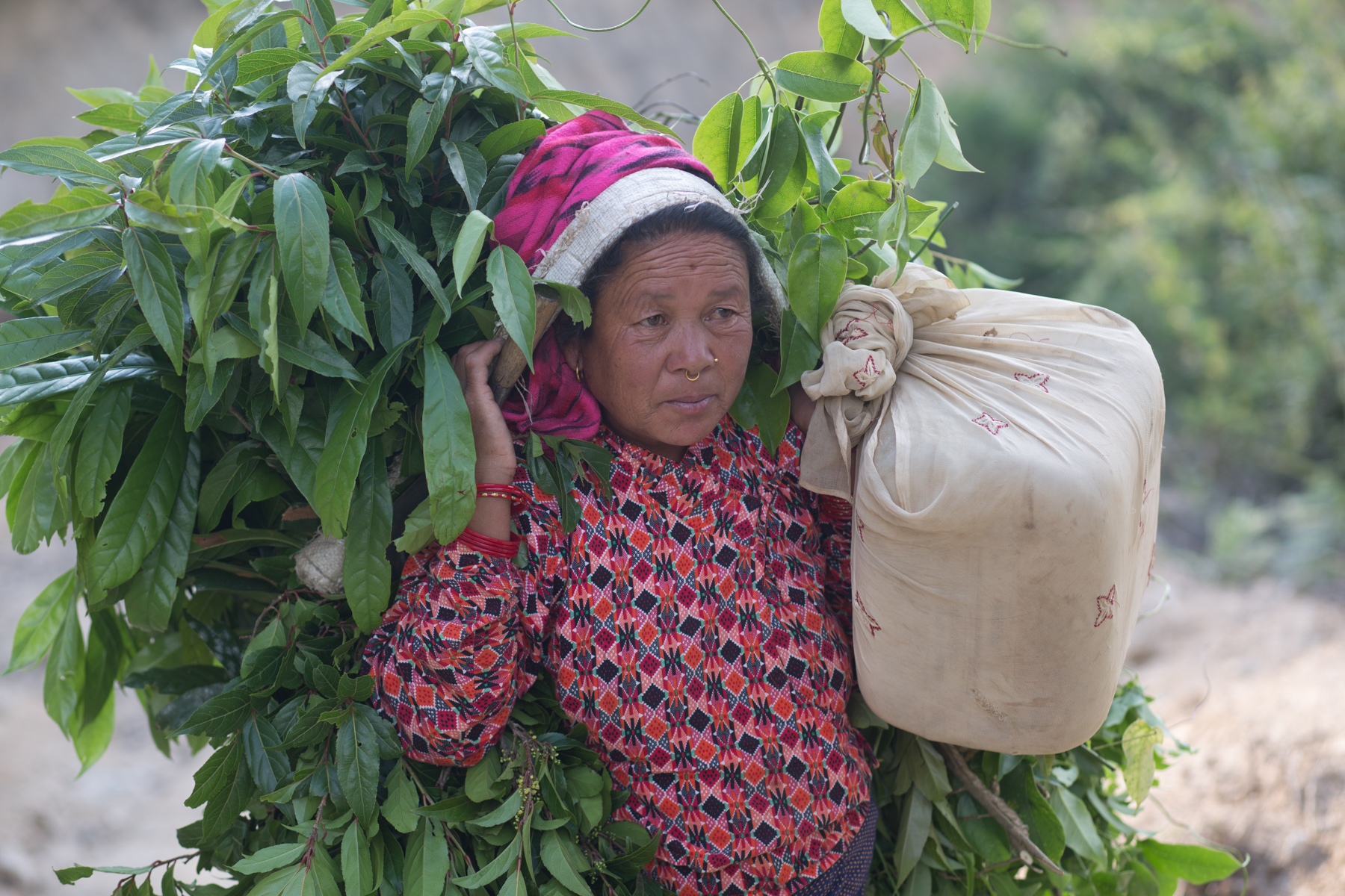 A woman carrying fodder in Patibhanjyang village, in Sindhupalchowck district of central Nepal, where the proposed Nepal-China railway will turn towards Kathmandu