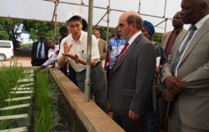 <p>El director general de FAO José Graziano da Silva, pronto a terminar su mandato, en un programa de cultivo de arroz en Benin (imagen: <a href="https://www.flickr.com/photos/africarice/10674028996/in/album-72157637311137413/">AfricaRice</a>)</p>