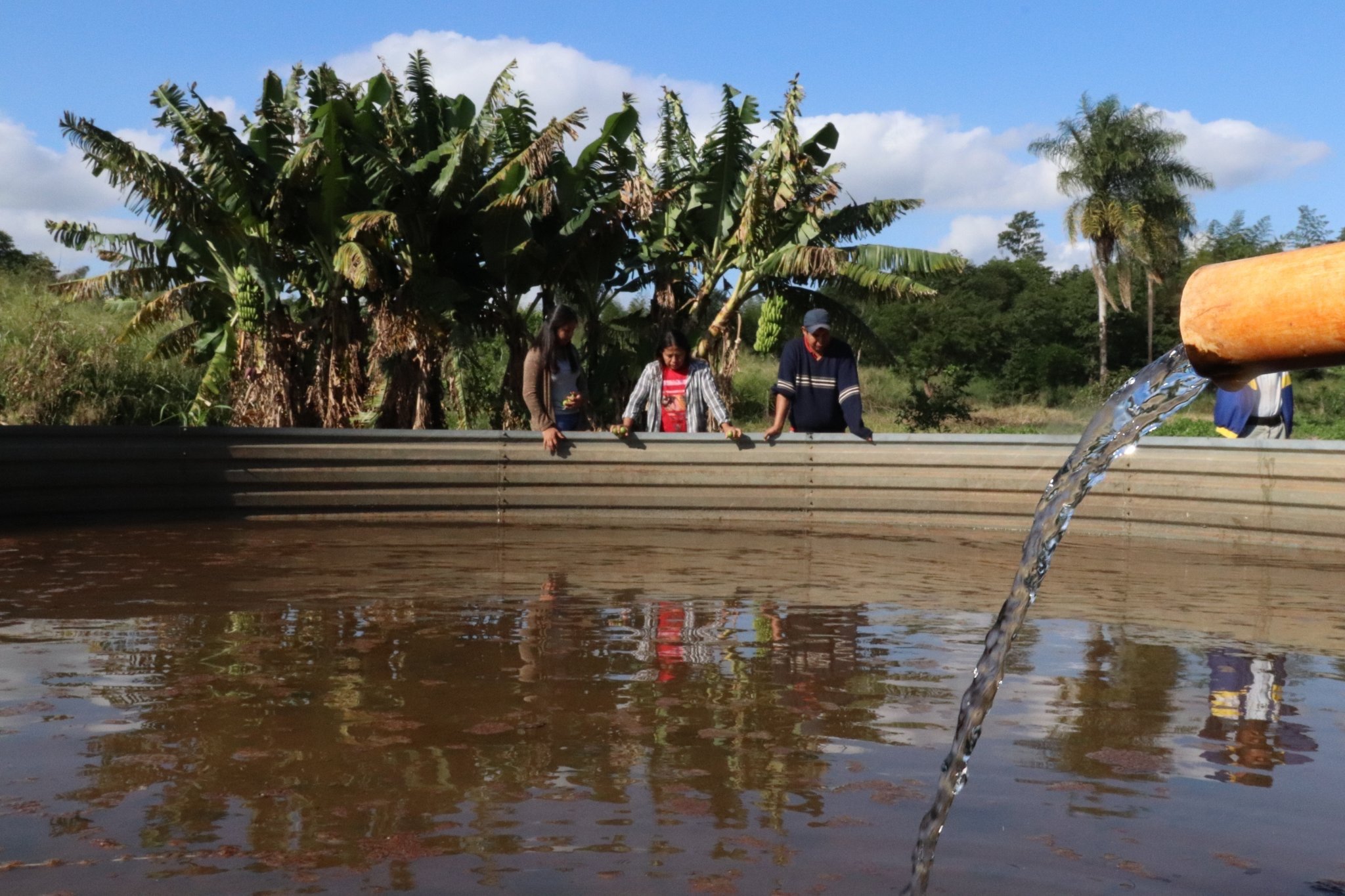 <p>An irrigation system for stevia cultivation used by the Pãi Tavyterã indigenous people of Amambay, north-eastern Paraguay (image: Matías Melgarejo Salum)</p>