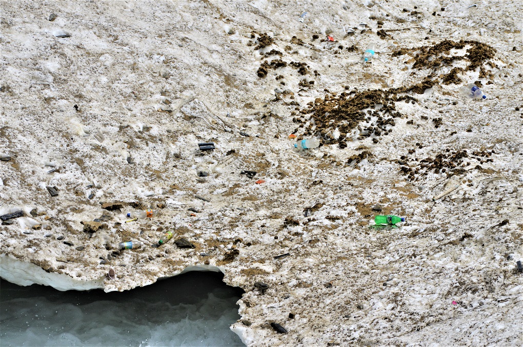 Horse manure and plastic on accumulated snow near the Amarnath Cave campsite. The accumulated snow is spread over a large area and is several meters thick at some places. The glacier-rich forest area around Amarnath shrine has a large concentration of glaciers which feed the Lidder and Sind rivers, tributaries of the Jhelum [image by: Athar Parvaiz]