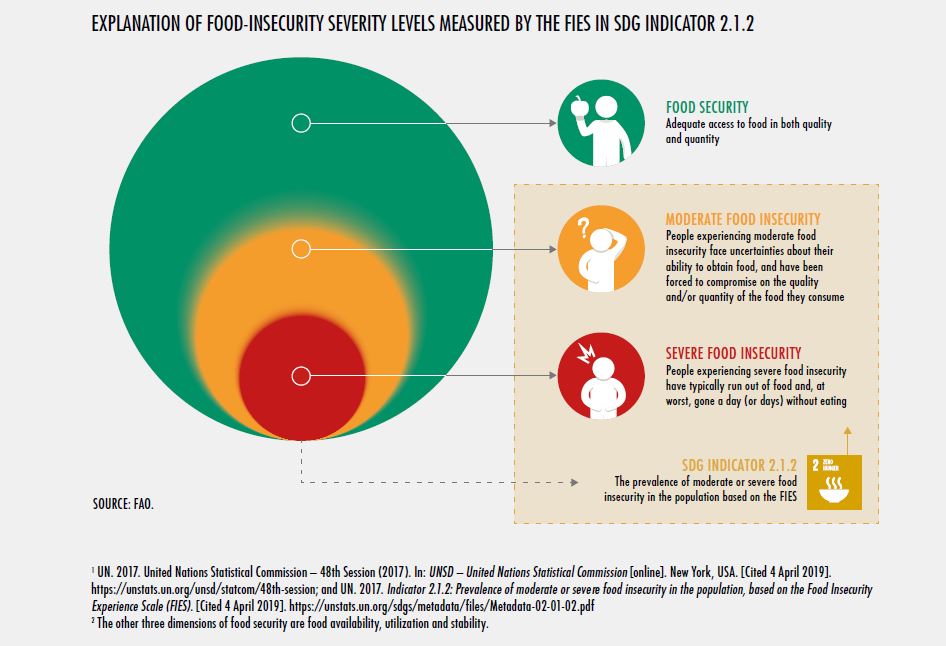explanation of food-insecurity severity levels measured by the flies in SDG indicator 2.1.2