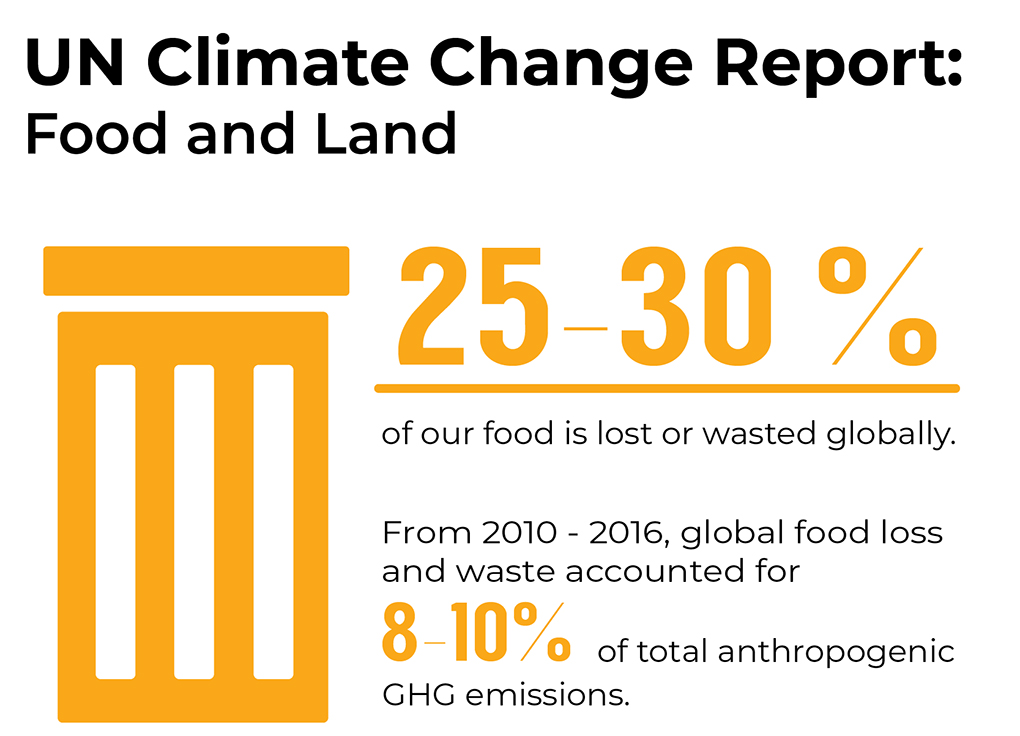 UN Climate change report: food and land. 25-30% of our food is lost or wasted globally