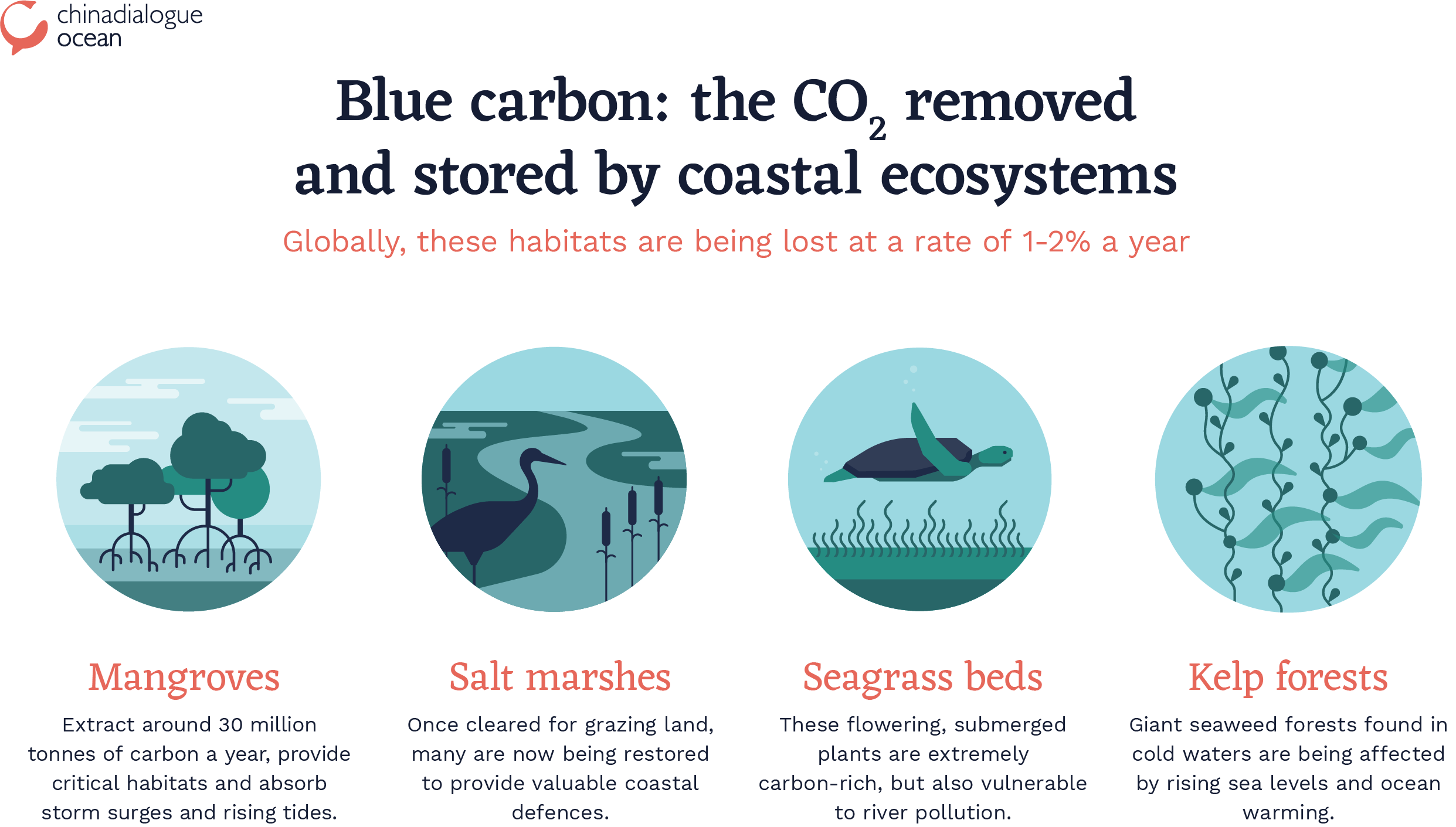 Blue carbon coastal ecosystems