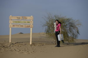 <p>Un sitio de forestación de Ant Forest en Kubuqi, Mongolia Interior. El letrero dice: “Área de plantación: 5,700 hectáreas; Número total de sauces: 171,000 ”(Imagen: Alamy)</p>