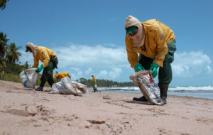 <p>Funcionários do governo limpam óleo da praia de Japaratinga, em Alagoas. (Imagem: Léo Malafaia/China Dialogue)</p>