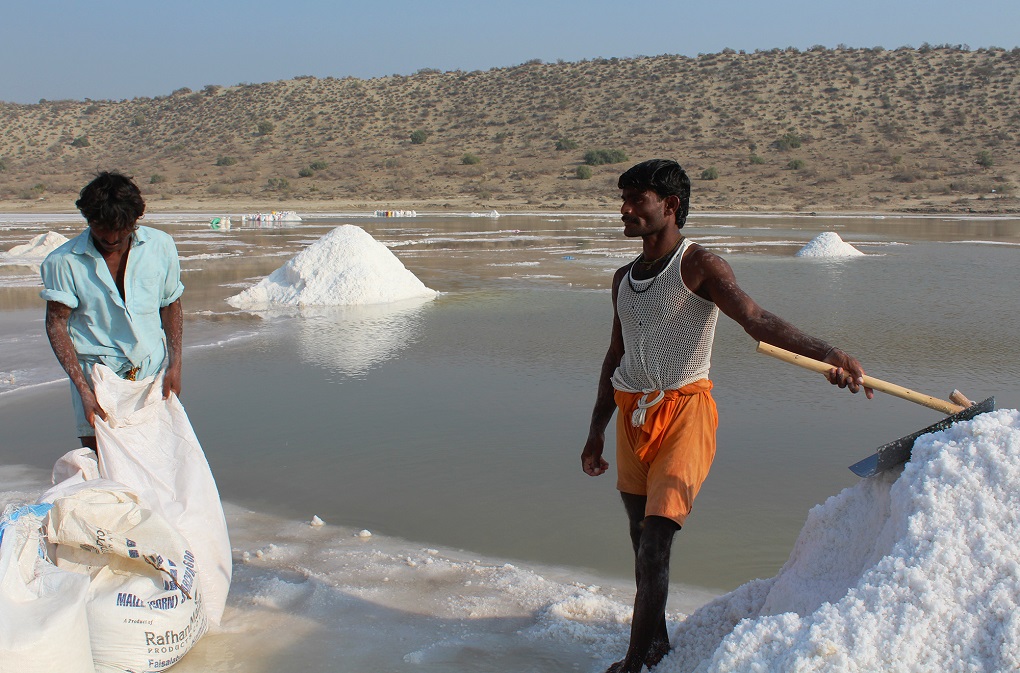 workers collecting salt. Their health is "not critical" [image by: Akhtar Hafeez]