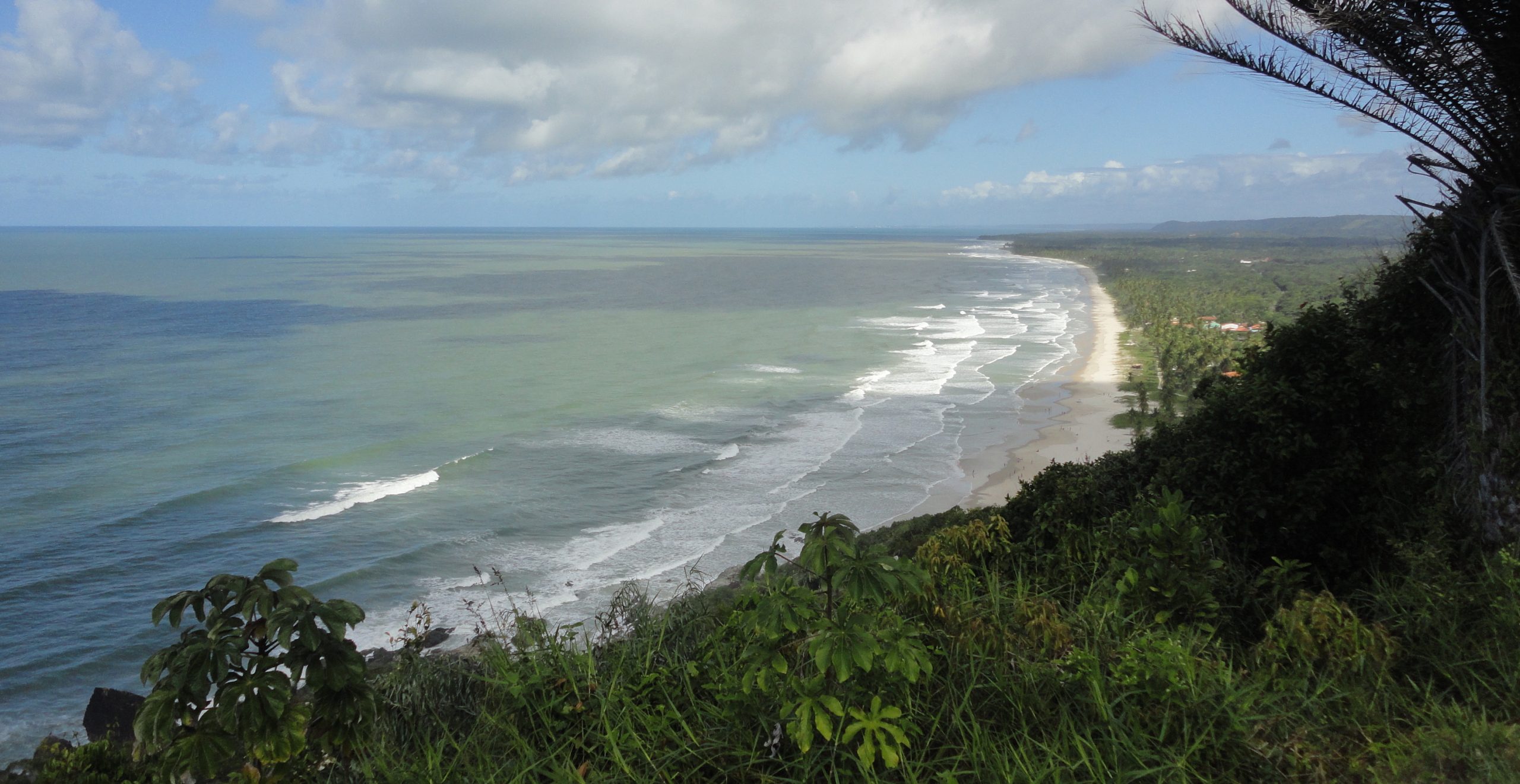 <p>A Área de Proteção Ambiental da Lagoa Encantada detém parte importante do que ainda resta do bioma Mata Atlântica. (Imagem: Acervo Rui Rocha)</p>