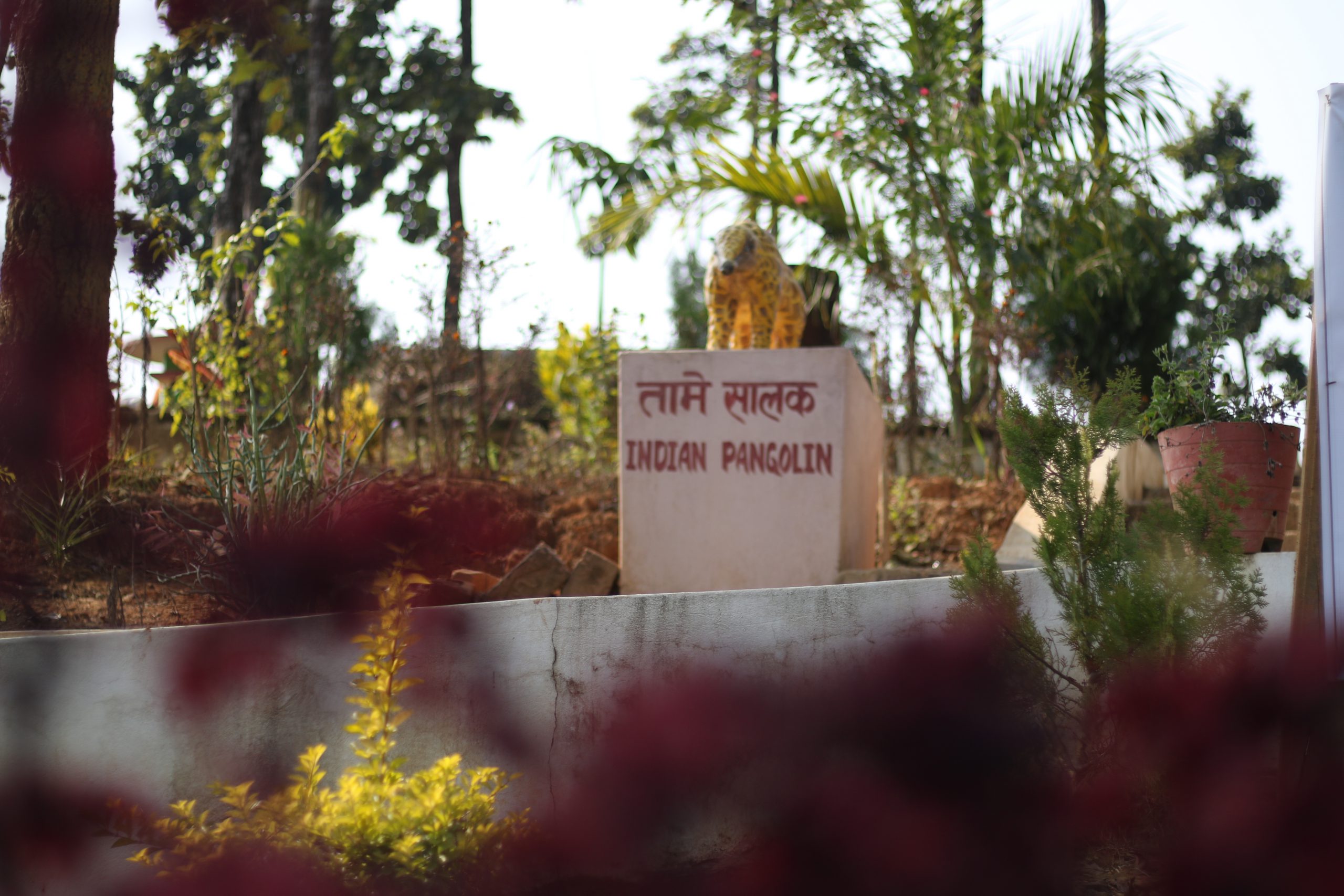 <p>With the shy pangolin rarely observed, the park is building statues to inform and educate visitors [image by: Abhaya Raj Joshi]</p>