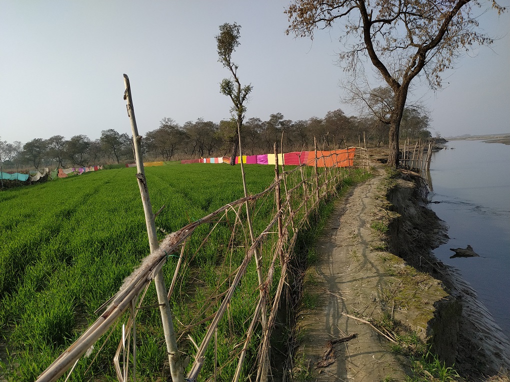 The river eating away the land at the edge of Chandiya Hazra village [image by: Manoj Singh]