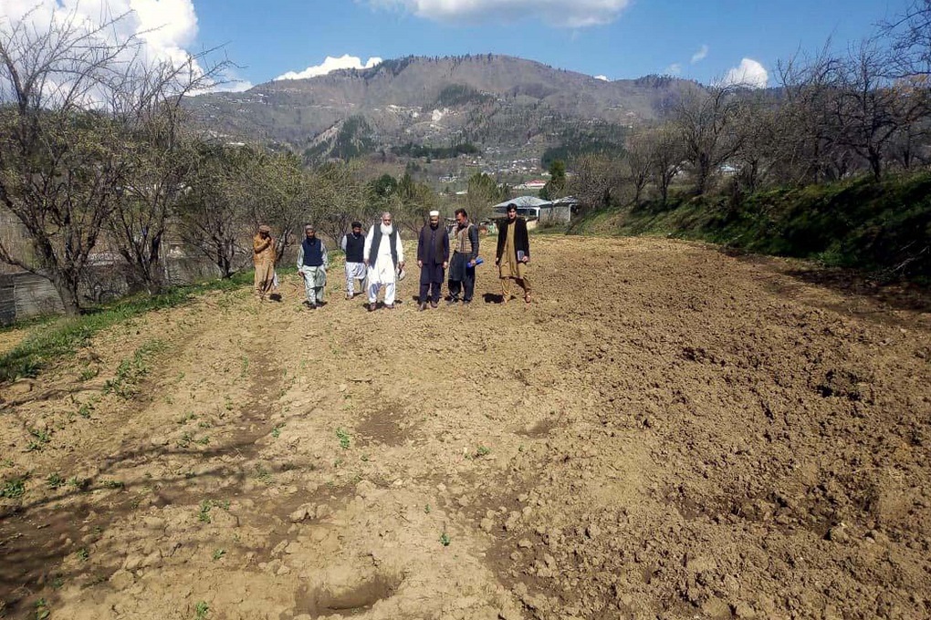 محکمہ زراعت کے عہدیداروں اور ڈپٹی کمشنر کے دفتر پر مشتمل ایک ٹیم ضلع مانسہرہ کے علاقے دربند میں جنگلی سواروں کے ذریعہ تباہ شدہ کھیتوں کا جائزہ لے رہی ہے۔ ( تصویر بشکریہ عدیل سعید )