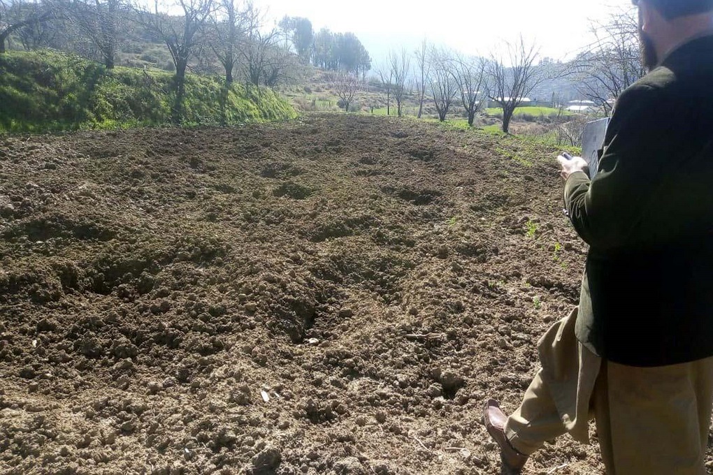 محکمہ زراعت کا ایک اہلکار ضلع مانسہرہ کے علاقے دربند میں جنگلی سؤر سے تباہ شدہ کھیت کا معائنہ کر رہا ہے - ( تصویر بشکریہ عدیل سعید )