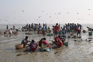 <p>Women and children of the Jaladash community join the returning fishers to sort the catch at the Bangla Bazar Fish Ghat in Sarikait, Sandwip Island, Chittagong district [all images by: Rafiqul Islam Montu]</p>