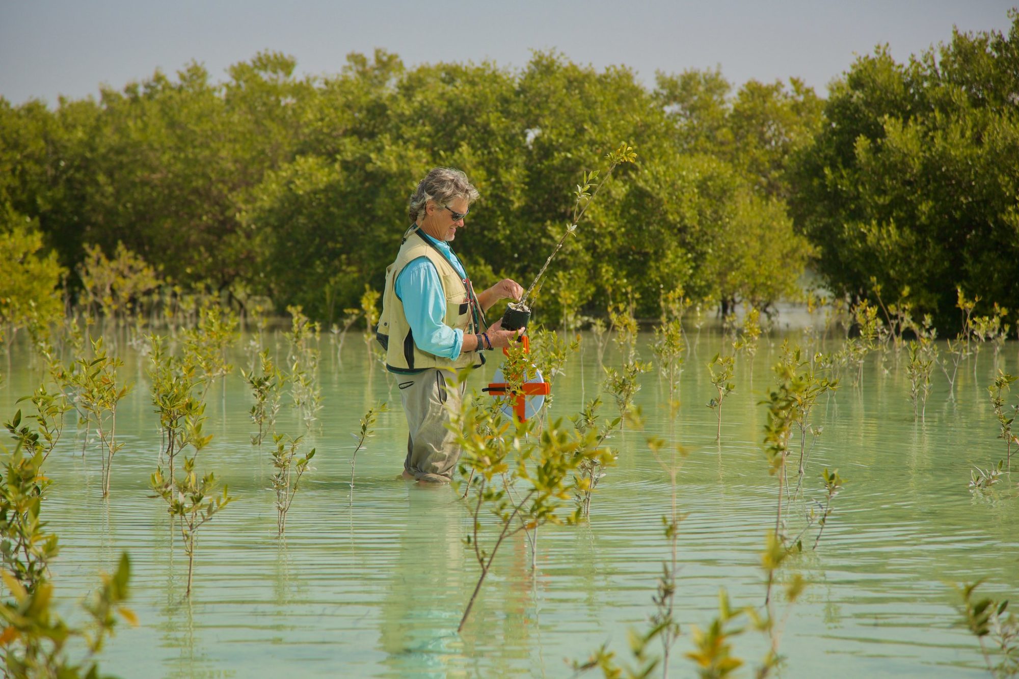 <p>La conservación de humedales y ciénagas costeras, incluidos los manglares, es fundamental para mitigar el cambio climático porque capturan y almacenan carbono &#8211; lo que los científicos llaman &#8216;carbono azul&#8217;. Foto: <a href="https://climatevisuals.org/images?f%5B0%5D=usage%3ACreative%20Commons&amp;id=1580">GEF Blue Forests / Climate Visuals</a>.</p>