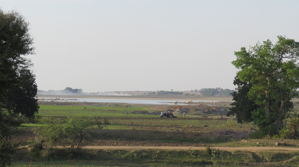 Submerged land near Matatila dam [image by: Mohit M. Rao, Astha Choudhary]