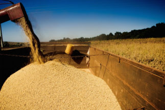 <p>The Covid-19 outbreak has caused raised questions about the ability of Brazil&#8217;s logistics network to get soy to China (image: Alamy)</p>