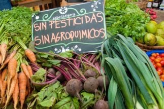 <p>A sign at a market in Buenos Aires indicates that vegetables were produced without pesticides and agrochemicals (image: Fermín Koop)</p>