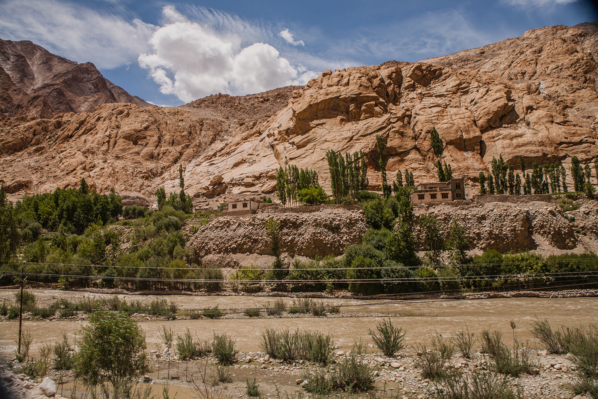 <p>Poplar trees, Ladakh. Image source: Chetan Karkhanis</p>