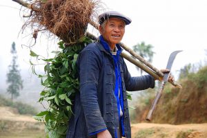 <p>A farmer of the Hani minority, famous for planting rice in terraces in Yuanyang county, Yunnan. (Image: Takeaway)</p>