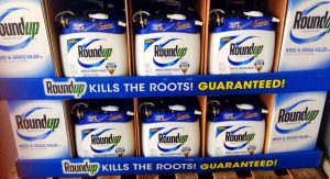 <p>Roundup, Monsanto&#8217;s brand name for Glyphosate (Image by </p>