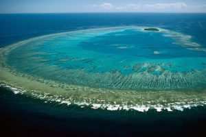 <p>The Great Barrier Reef’s major threat is climate change. (Image by Lock the Gate Alliance)</p>