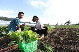 <p>Ren Yingying and her husband Wen Zhiqiang at work (Image: Love Village Farm)</p>