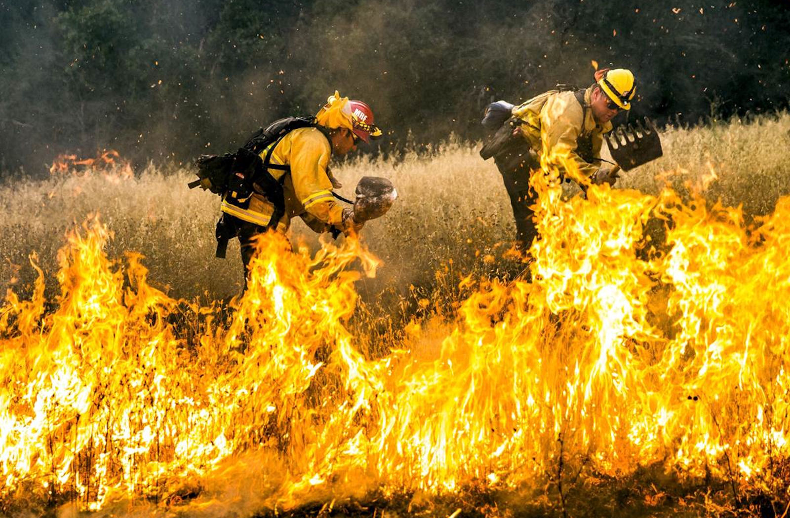 <p>Fifteen of California&#39;s 20 largest wildfires on record have burned since 2000&nbsp;(Image:&nbsp;Jeff Head)</p>