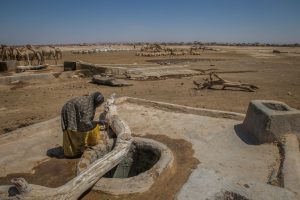 <p>Restoring just 300 million hectares of land would&nbsp;ensure global food security until 2050&nbsp;(Image:&nbsp;UNICEF/Mulugeta Ayene)</p>