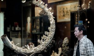 <p>图片来源：<a href="http://www.theguardian.com/environment/2015/oct/08/chinese-ivory-queen-charged-smuggling-706-elephant-tusks" target="_blank">Philippe Lopez/AFP/Getty Images</a></p>