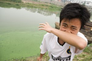 man places hand over his nose due to algae in Chao Lake in southeastern China's Anhui province