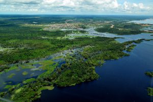 <p>Two-thirds of the Aichi Biodiversity Targets – 20 globally agreed goals to address biodiversity loss – are at risk of not being met by the 2020 deadline (Image by Neil</p>