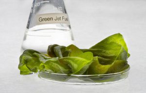 <p>Green Jet Fuel produced with algae in a beaker. (Image: Honeywell)</p>