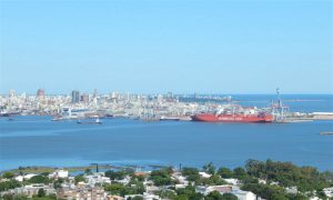 <p>Montevideo is the second most visited port by undeclared fishing vessels in the world (Image: Florencia Lay)</p>