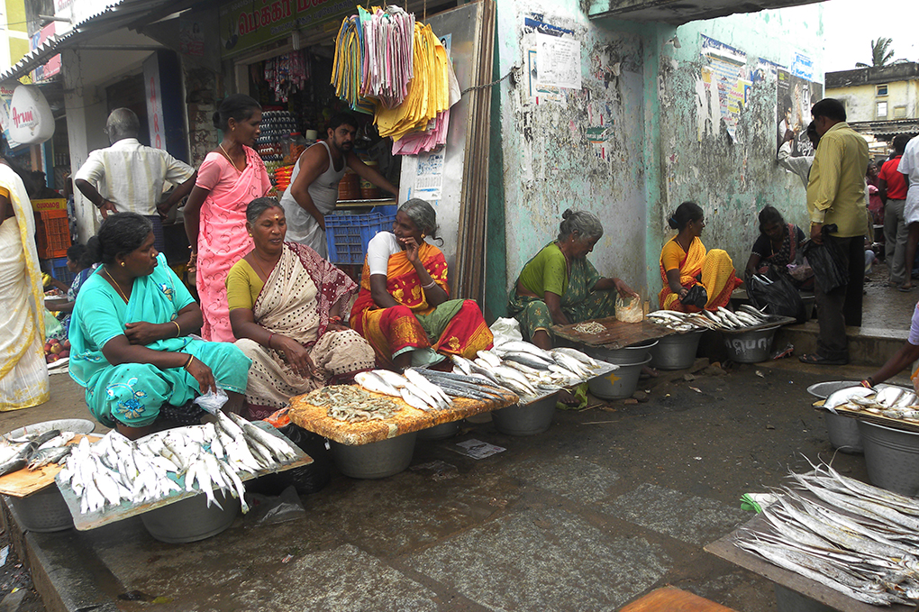 Fish vendors in Pulicat [image by: Jency Samuel]