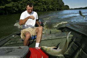 <p>A large Asian carp&nbsp;jumping into the&nbsp;boat in&nbsp;Mississippi River high water. (Image: Alamy）</p>