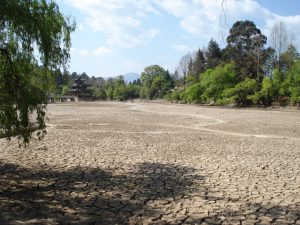<p>The dried bed of Black Dragon Pool in a park in Lijiang, Yunnan province (Image: Lauren Dickey)</p>