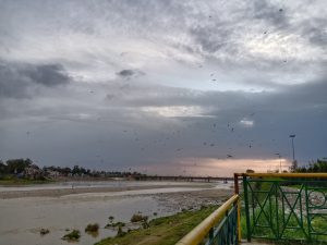 <p>The low level of river combined with blockages from dumped waste leaves the Tawi sluggish near Jammu [image by: Rishika Pardikar]</p>