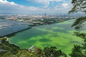 <p>Dianchi lake is one of China&rsquo;s most polluted (Image: Alamy)</p>