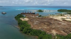 <p>Papua New Guinea exports 85% of its logs to China (Image: Global Witness)</p>