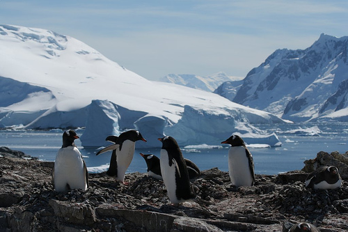 Antarctic marine protection plan reportedly blocked by China | Dialogue ...